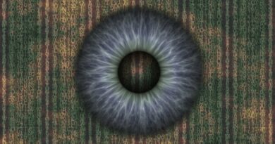 IoT Security Is the Shield Protecting Our Connected World