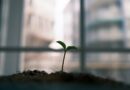 “Seed 100”：2026年最优秀的早期投资者揭示了风险投资的哪些奥秘